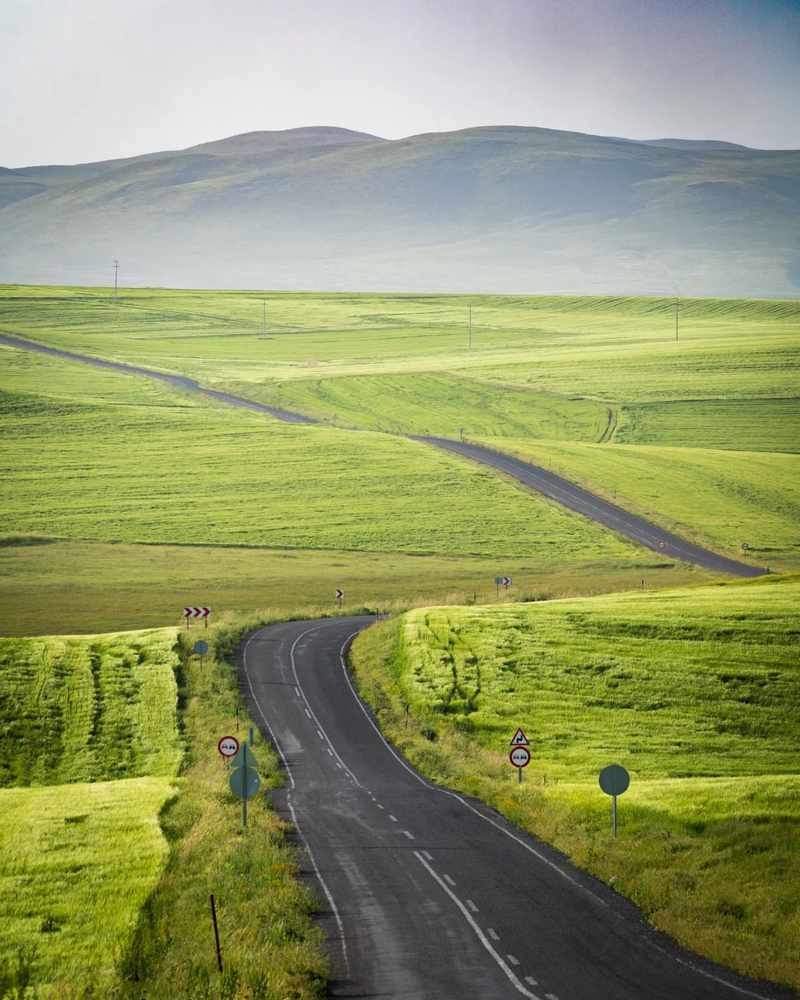 Grüne, unberührte Natur