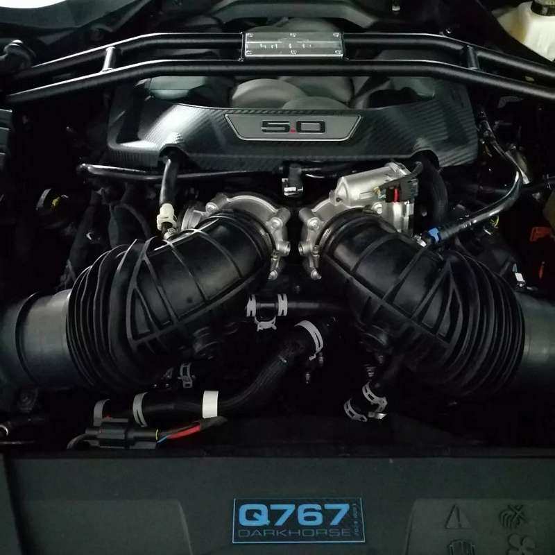 Steeda Q767 Dark Horse V8 Motor