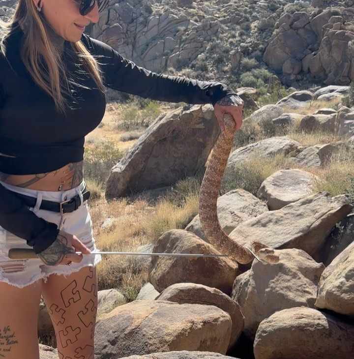 Danielle Wall Snake