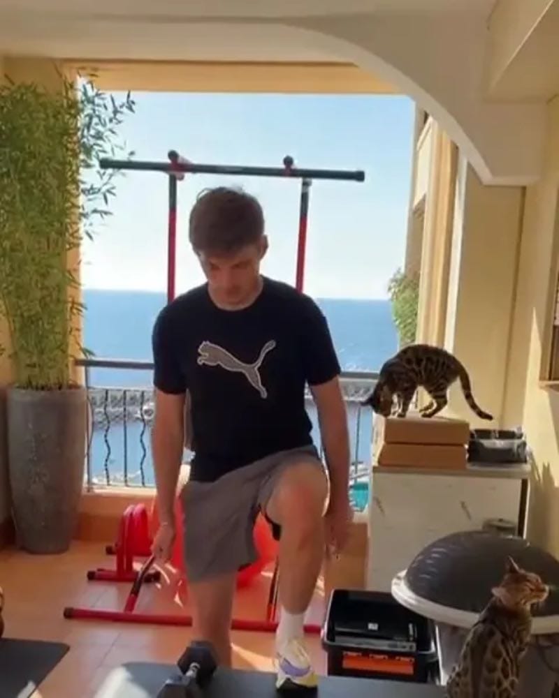 Max with cats 