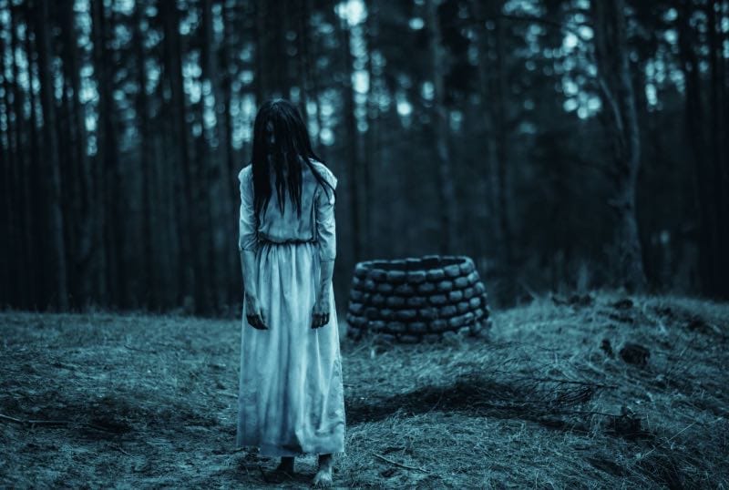 Horror movie the ring
