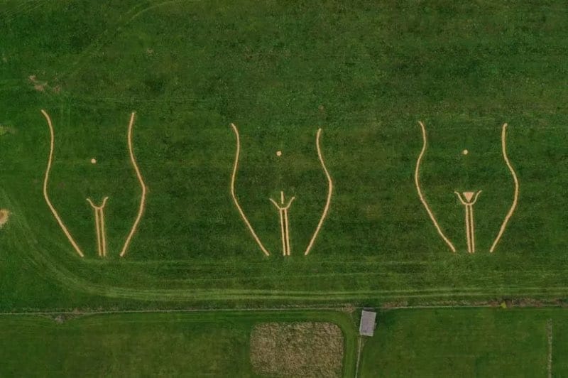 Crotches in field 