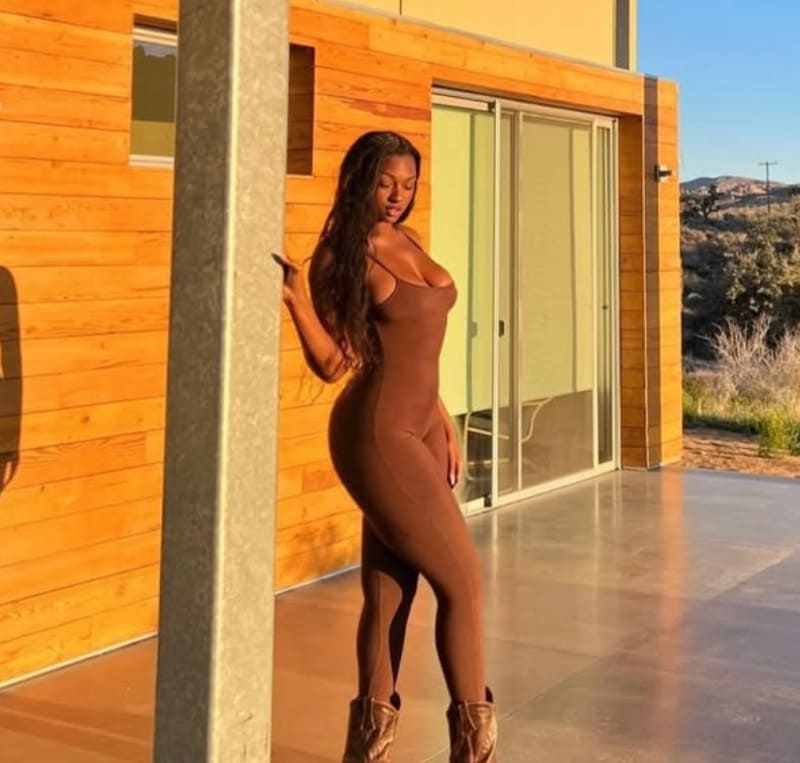 Babe in brown outfit