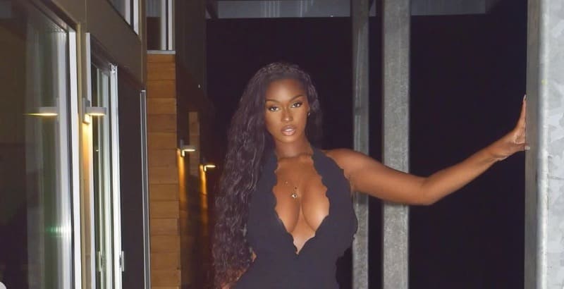 Ebony girl with nice tits