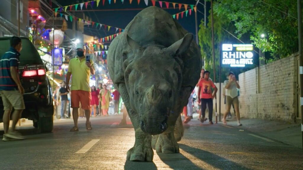 neushoorn in nieuwe serie van David Attenborough