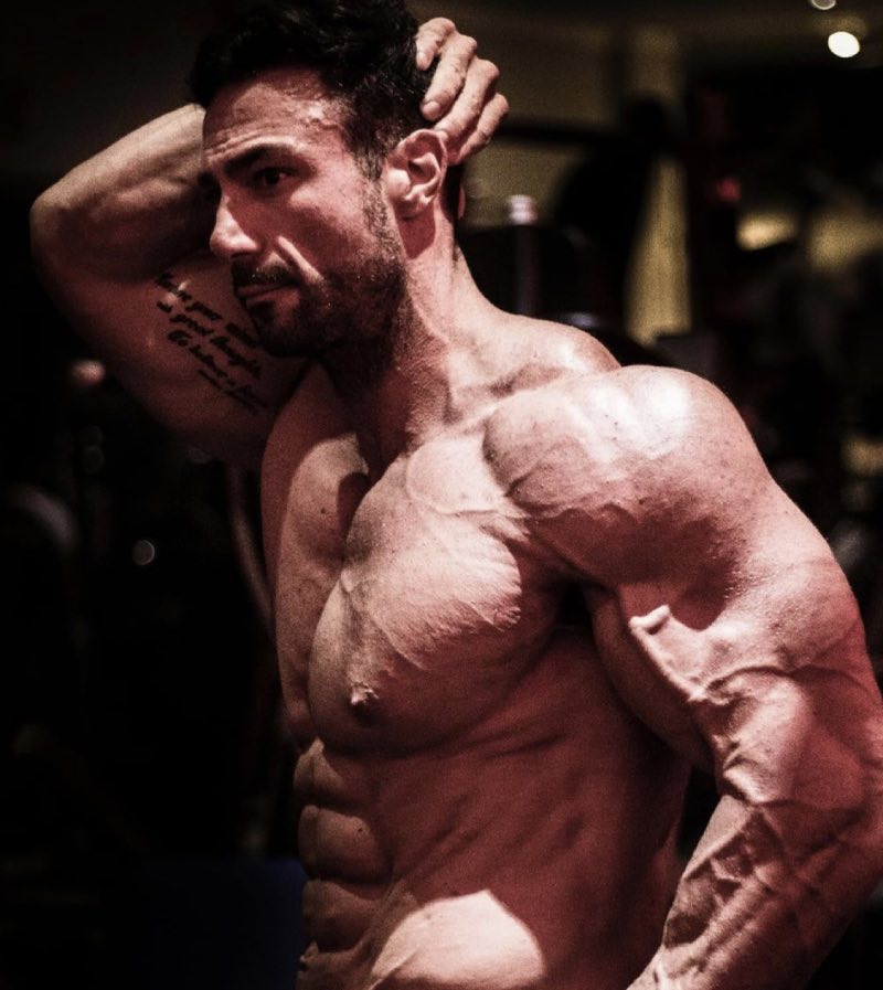 Noel shredded