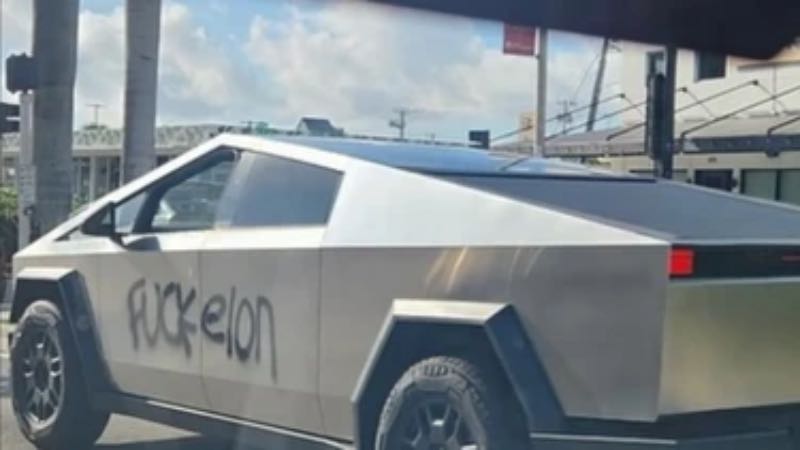 Florida man Tesle