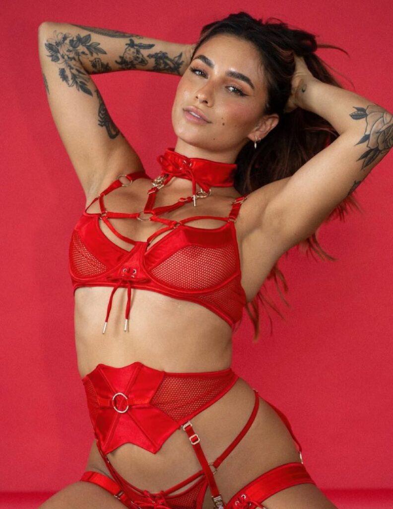 Sexy rode lingerie
