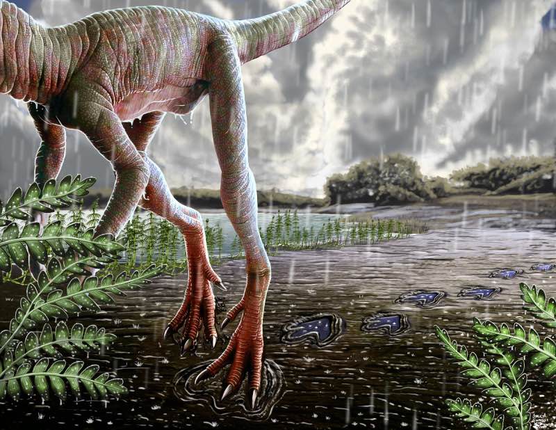Carnian Pluvial event regenstorm