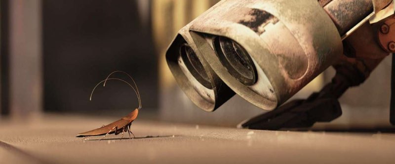 Wall-e en kakkerlak
