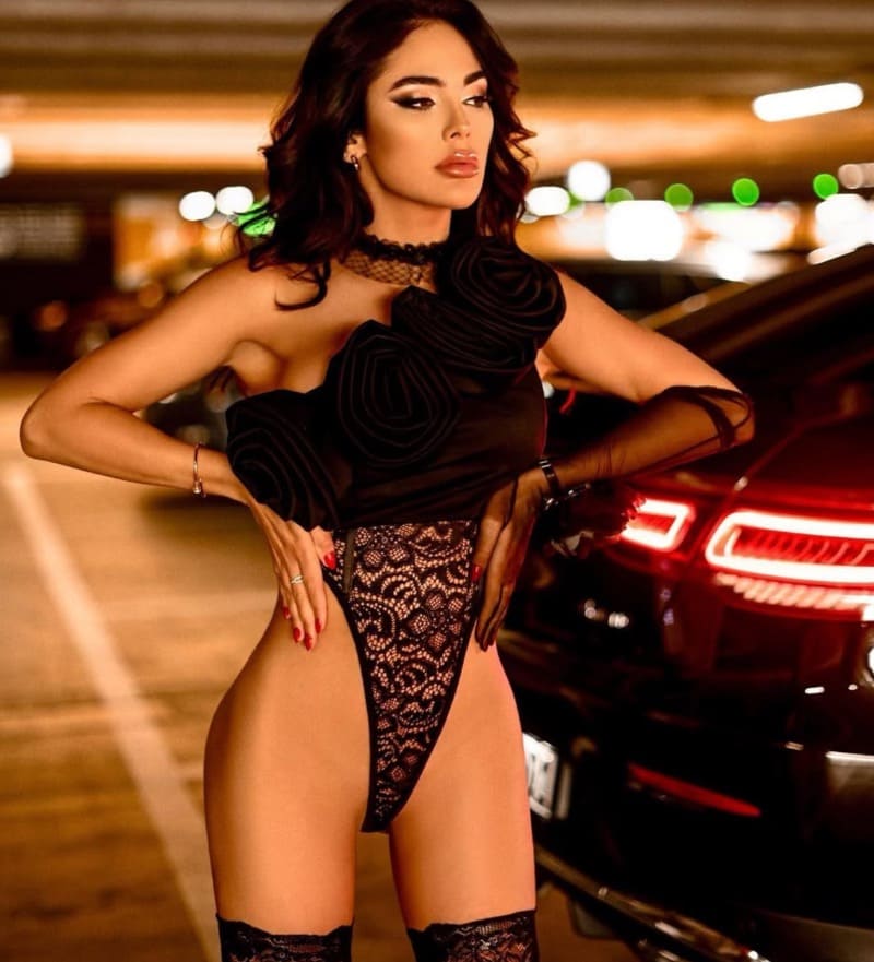 Beata in sexy lingerie in auto