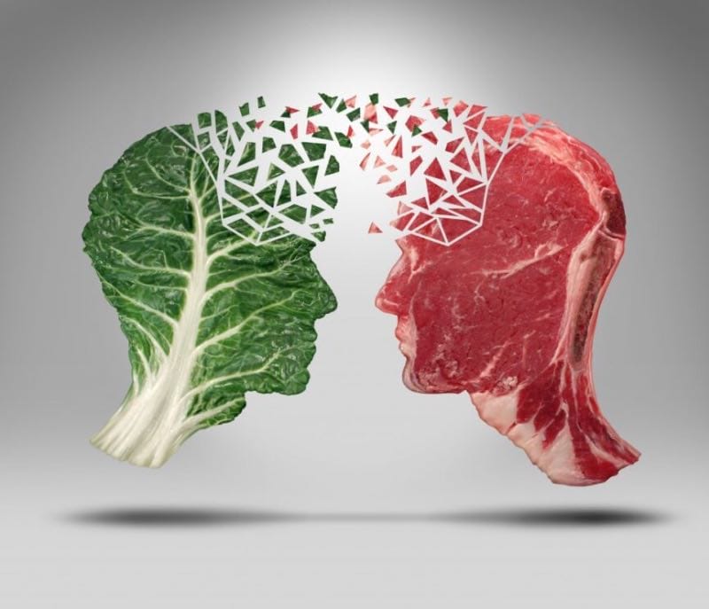 Planten vs vlees proteïne