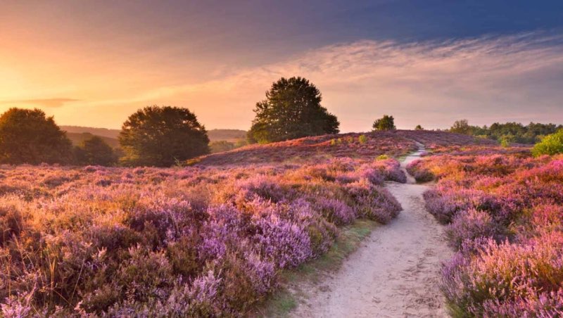 Veluwe Nederland