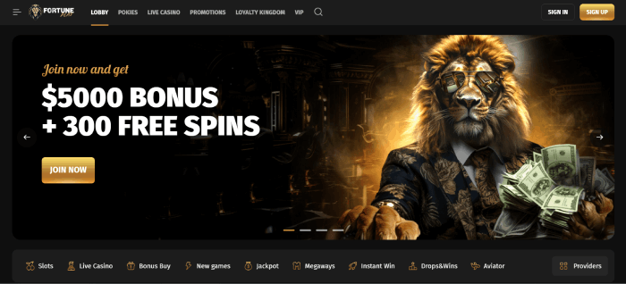 FortunePlay: Top Casino in NZ