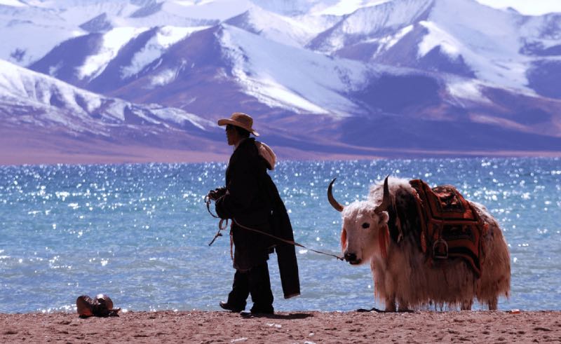 Tibetan person walking around
