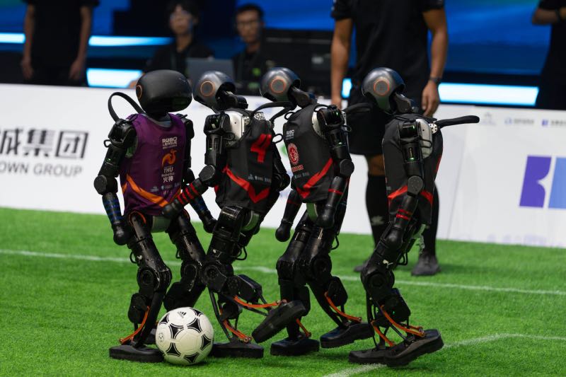 Humanoid robots