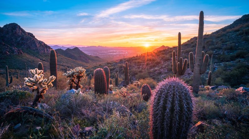 Tucson nature