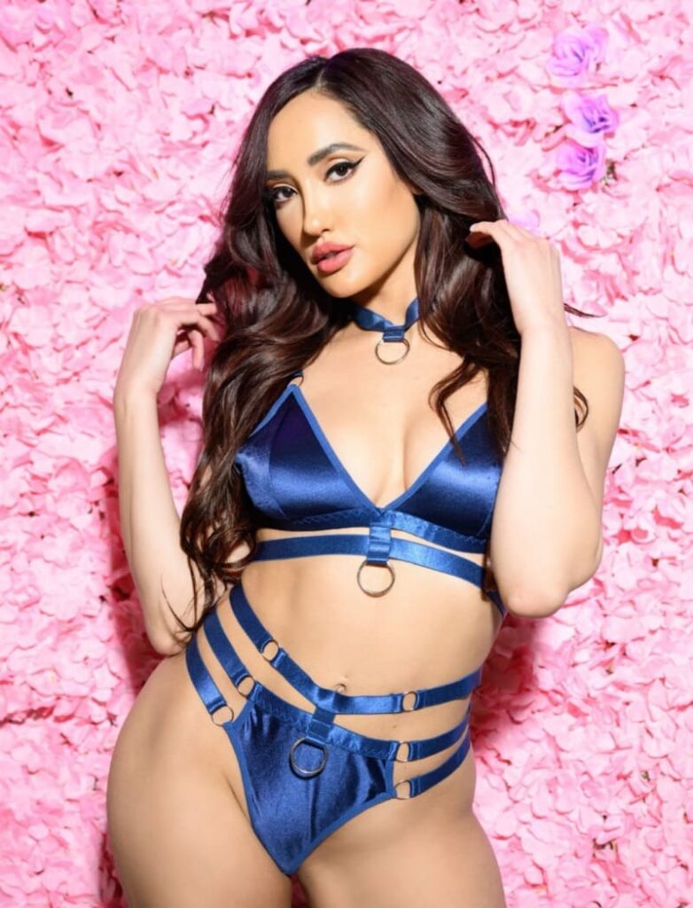 Babe in blue lingerie