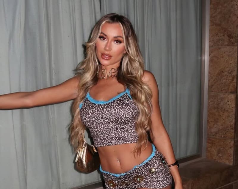 Sexy model in leopard print