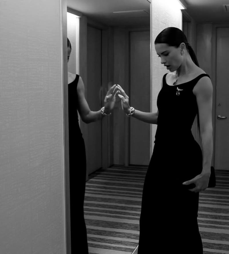 Sexy model in long dress