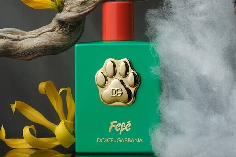 El packaging de Fefé, la colonia canina de D&G.