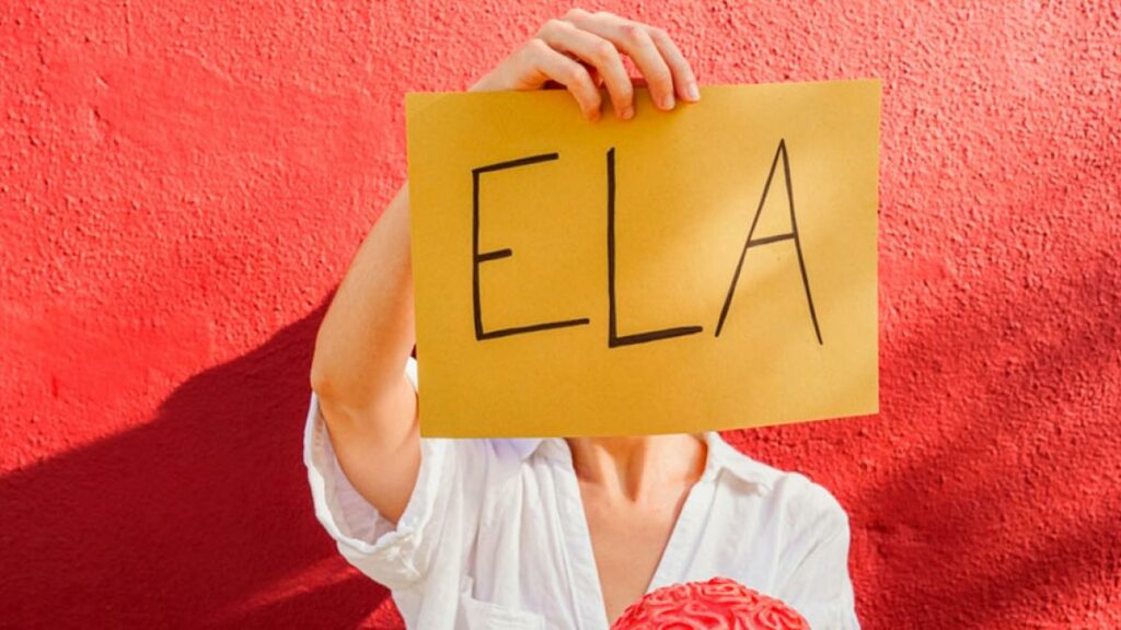 ley ela octubre 2024
