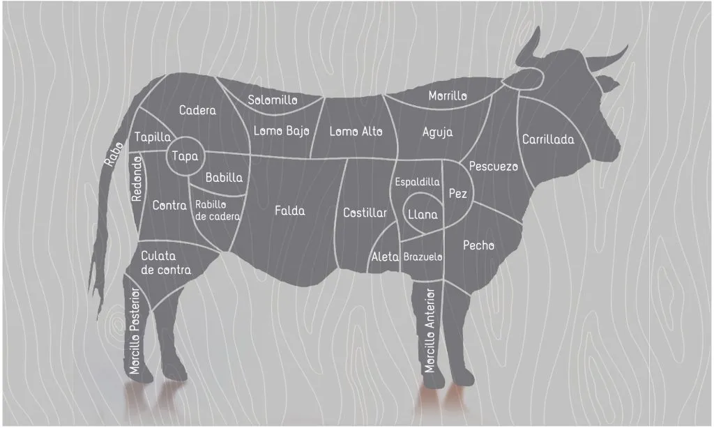 partes de la vaca