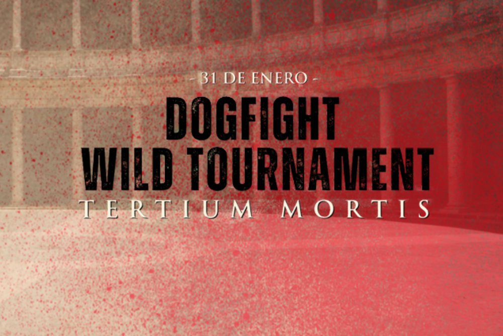 ver Dogfight Wild 3 online