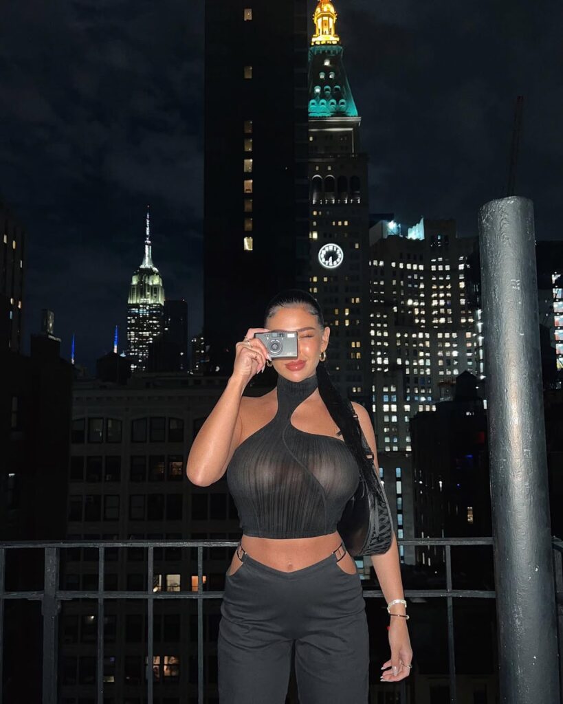 ashlyn castro transparencias