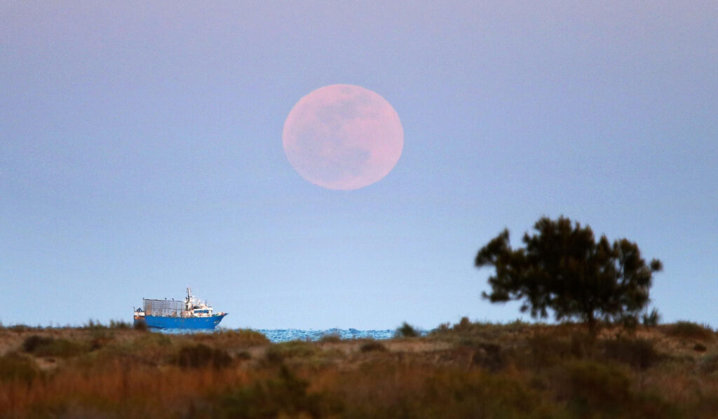 cuando es la luna de fresa 2025