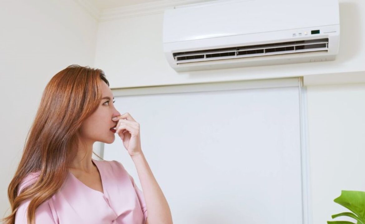 mal olor aire acondicionado split