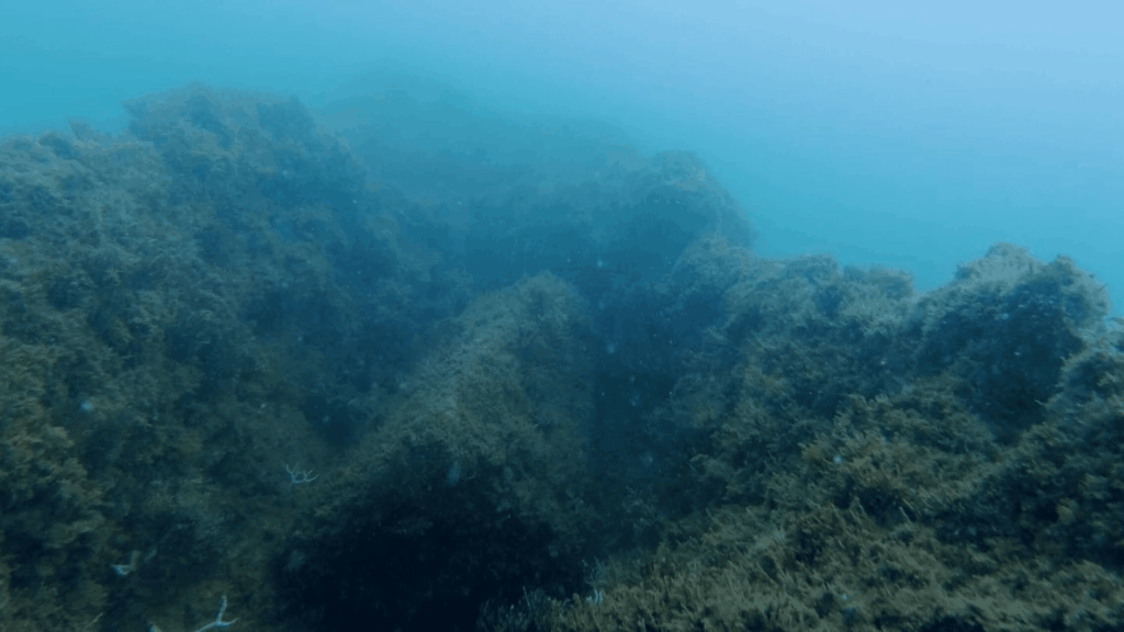 imágenes de la atlántica en cádiz