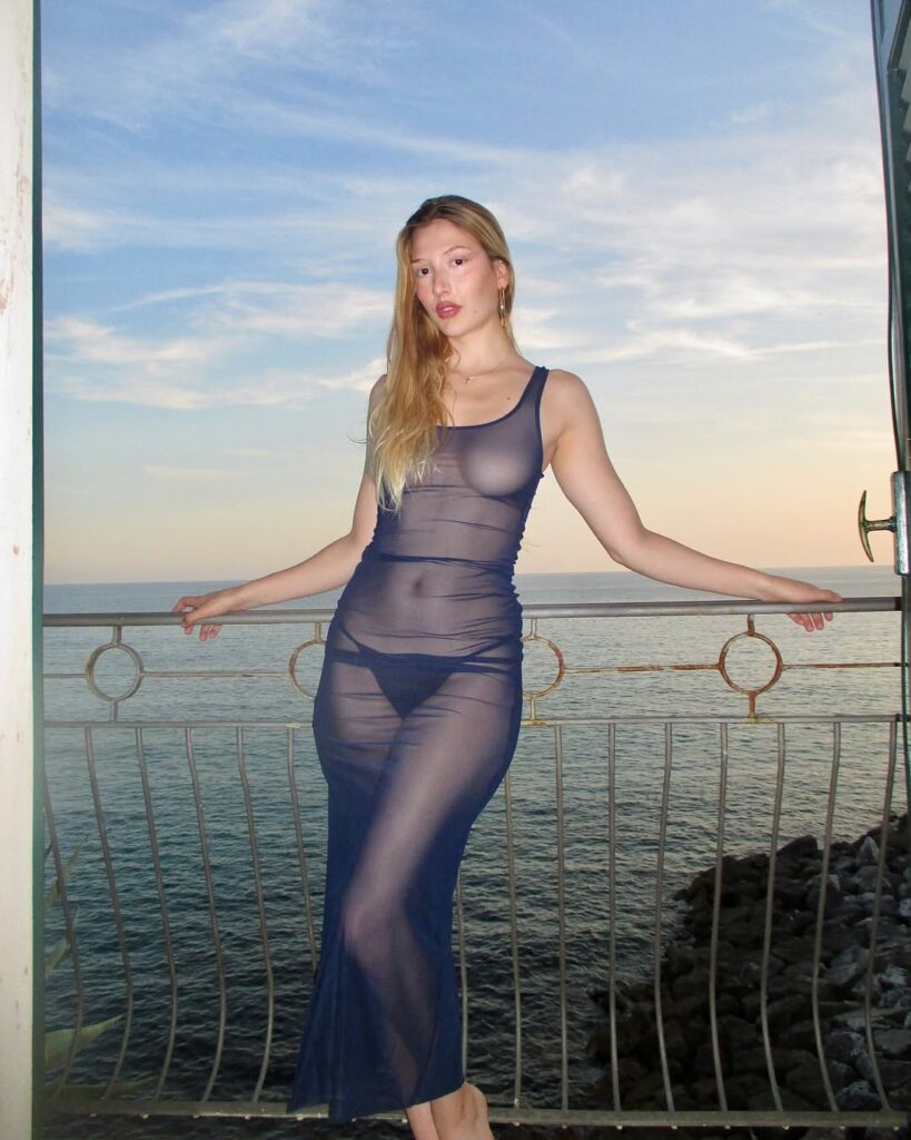 María Barrier transparencias