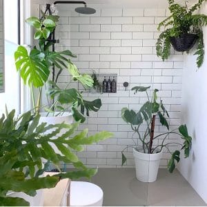 planten in badkamer met witte tegels