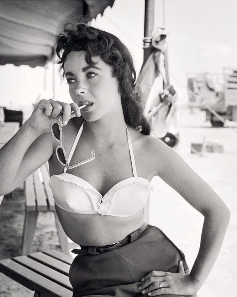 elizabeth taylor the traveling gentleman