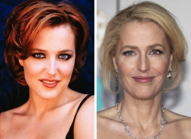 gillian anderson hollywoodsterren