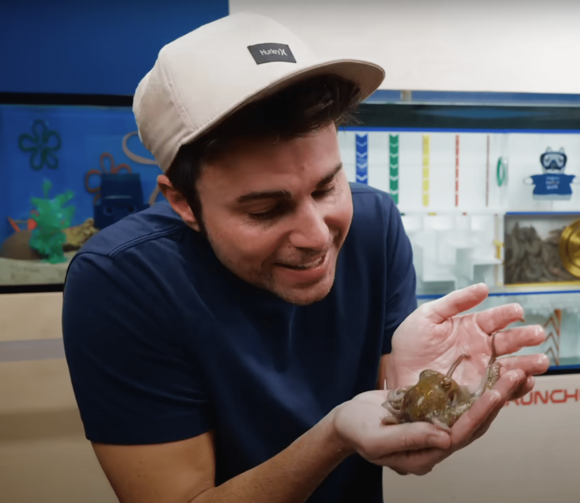 Mark Rober met octopus