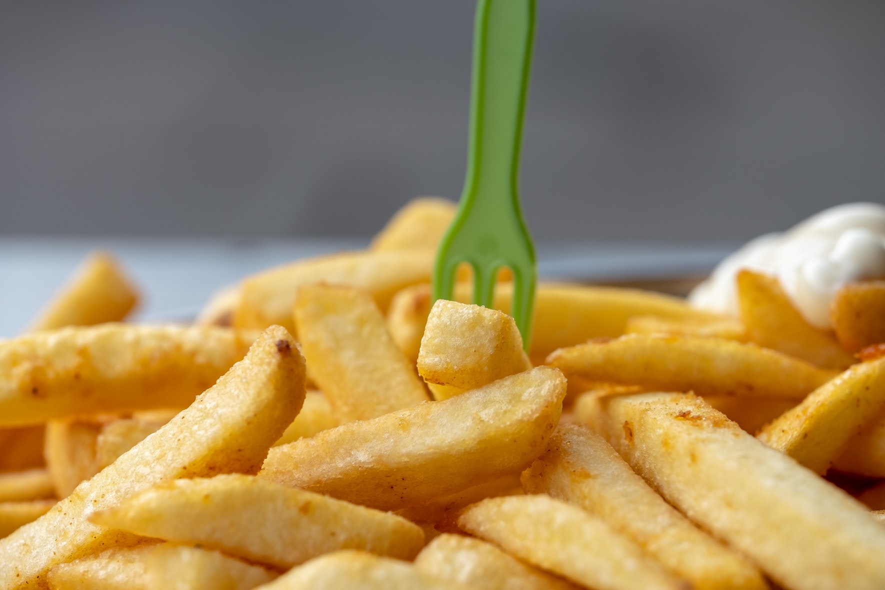 Friet of patat? De Universiteit van Nederland heeft het antwoord!