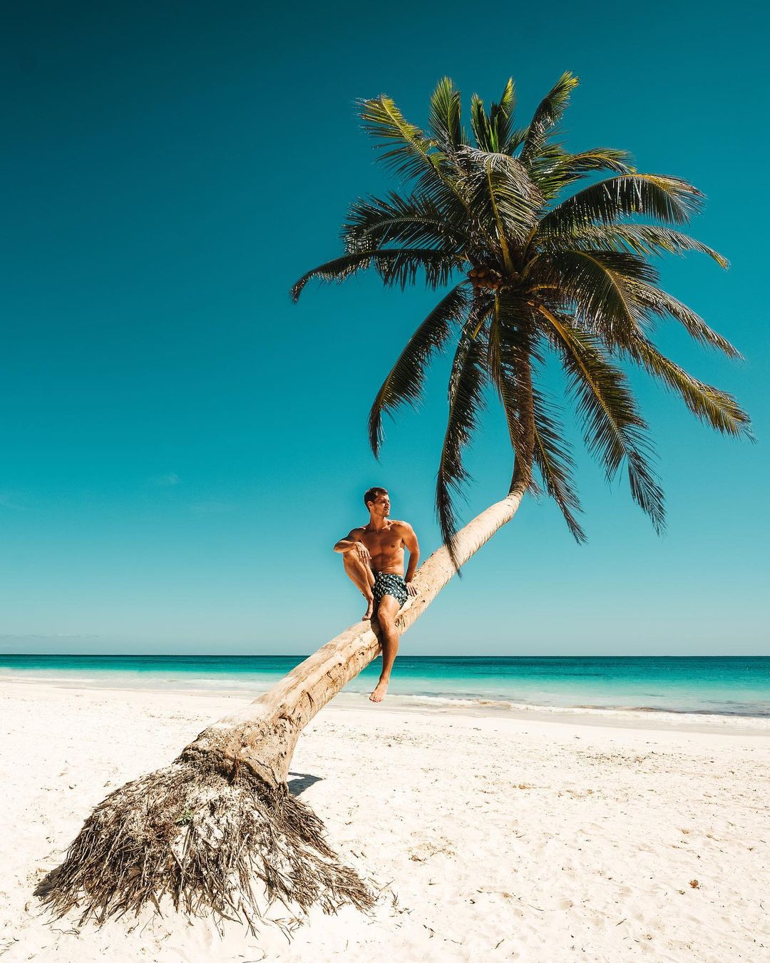 Nash Hagen op palmboom