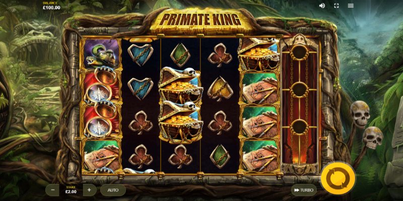 Primate King Slot