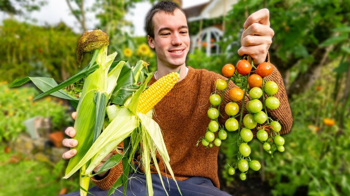Just Alex aan het werk in zijn moestuin