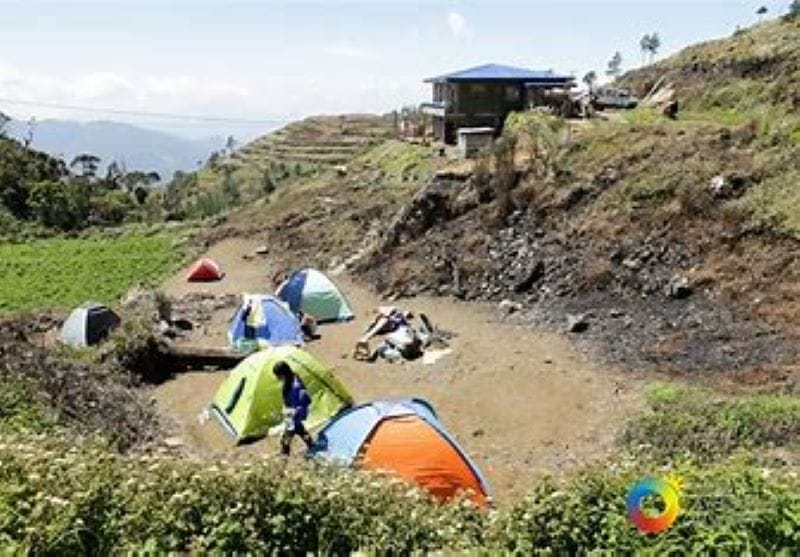 Mt Pulag beklimmen in de FIlipijnen