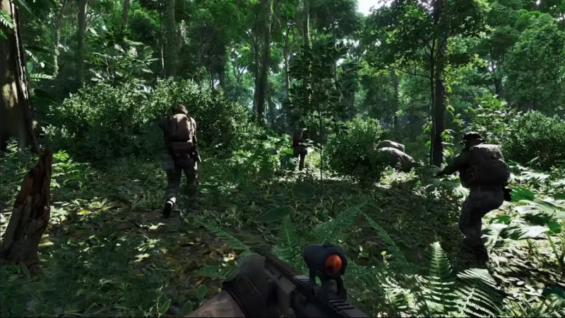 Greyzone in jungle 