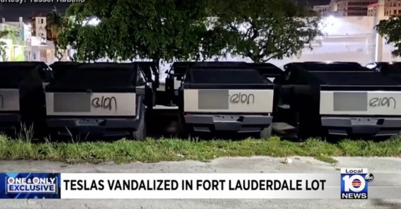 Florida Man 