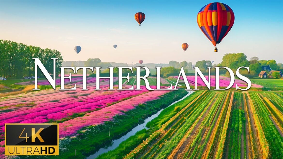 Earth Relaxation op YouTube