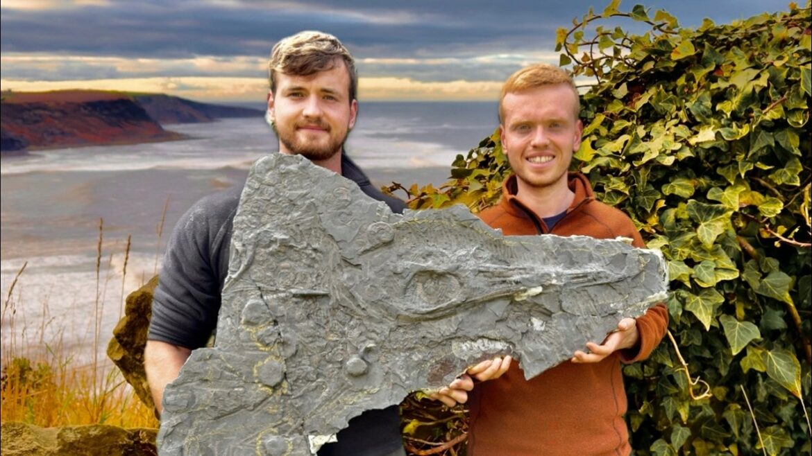 'Yorkshire Fossils' op YouTube