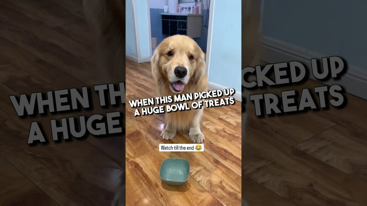 'Mr Bro Stories' op YouTube
