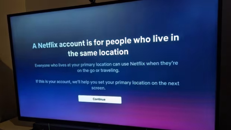 Netflix password sharing 

