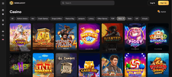 Gokkasten bij Newlucky casino online proberen
