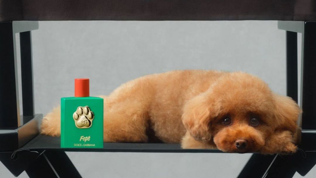 Honden parfum FT